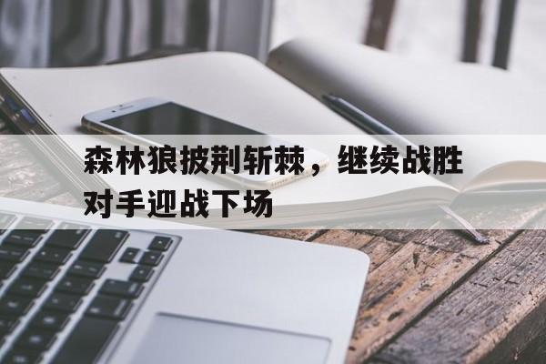 森林狼披荆斩棘，继续战胜对手迎战下场